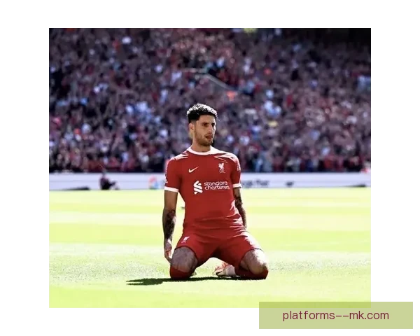 索博斯洛伊坐镇利物浦中场知疲倦奔跑远射成球队推进关键核心引擎